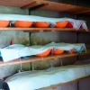 backhaus_11