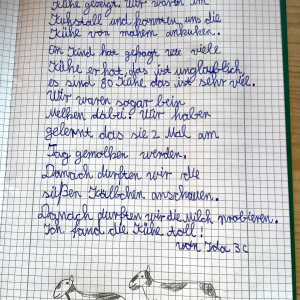 bauernhof-4