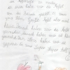 obst-aepfel-zwetschgen-003