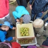obst-aepfel-zwetschgen-006