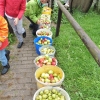 obst-aepfel-zwetschgen-008