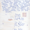 obst-aepfel-zwetschgen-010