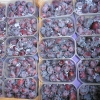 obst-aepfel-zwetschgen-012