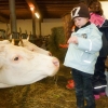 reyerhof_004